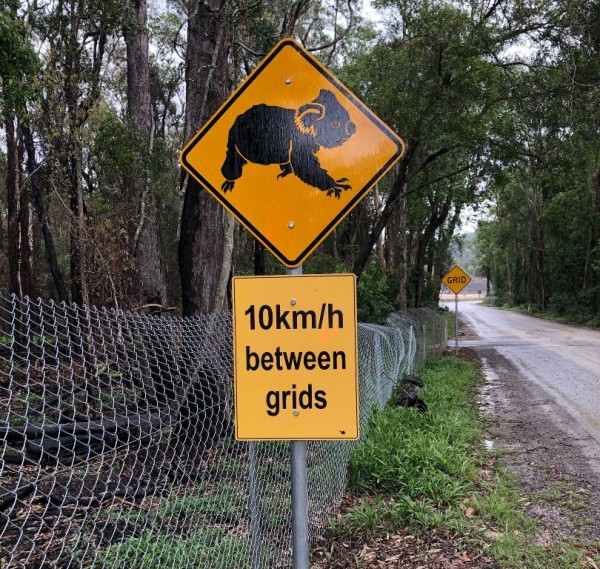 Koala grid signs