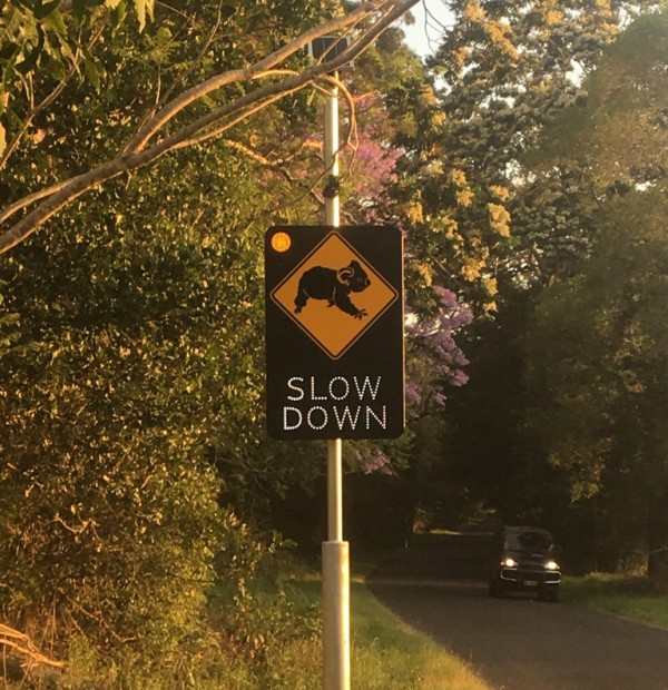 Vehicle activated koala safety sign